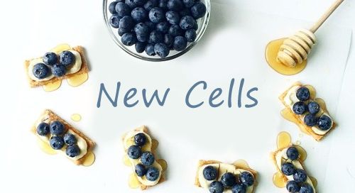 new-cells-c94e5d4bd8ca7000cfd047ffc3cc267b.jpg