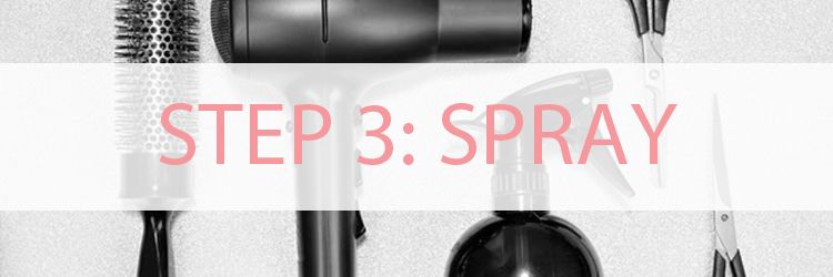 step-3-spray-bc589e7c372323e3b0e212bc898586a6.jpg