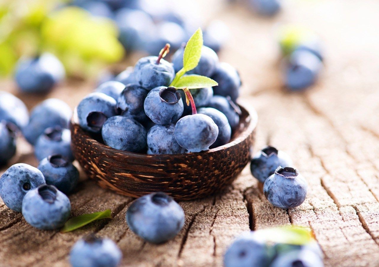 berries-blueberry-bowl-b12d0d0acb97052ef54fc7adec1bc582.jpg