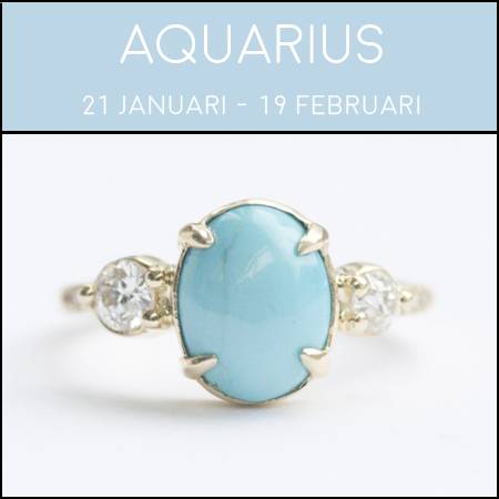 cincin tunangan aquarius