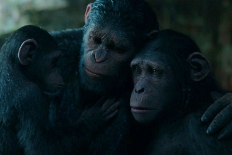Belajar Sayangi Lingkungan dari Film War For The Planet of The Apes