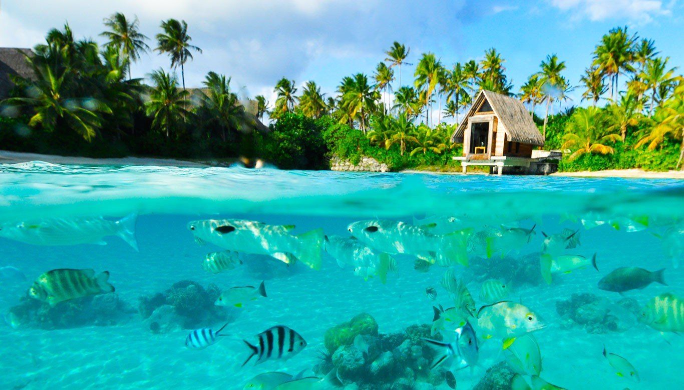 Buat Kamu yang Suka Pantai, 10 Pulau di Dunia Ini Wajib Ada di Wish List Kamu