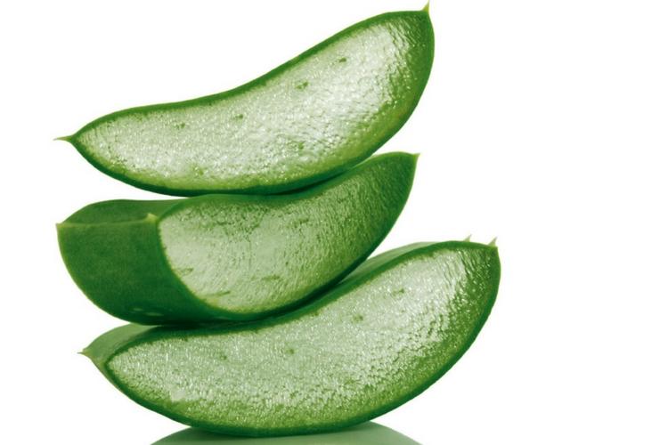7 Bahan Alami yang Dapat Menghilangkan Bekas Jerawat