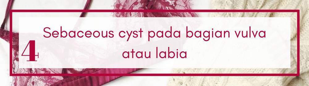 Obat Kista Sebaceous Aman Alami Digdaya Teruji Terbukti 2021 Obat Kista Sebaceous Aman Alami Digdaya Teruji Terbukti 2021