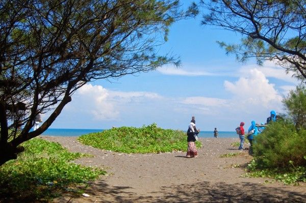 Tamasya ke Yogyakarta? Pastikan Mendatangi 7 Wisata Pantai Eksotis Ini