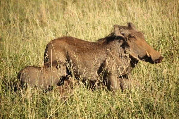 Suka Travelling, Saatnya Kamu Coba Hidangan Tak Biasa Ini