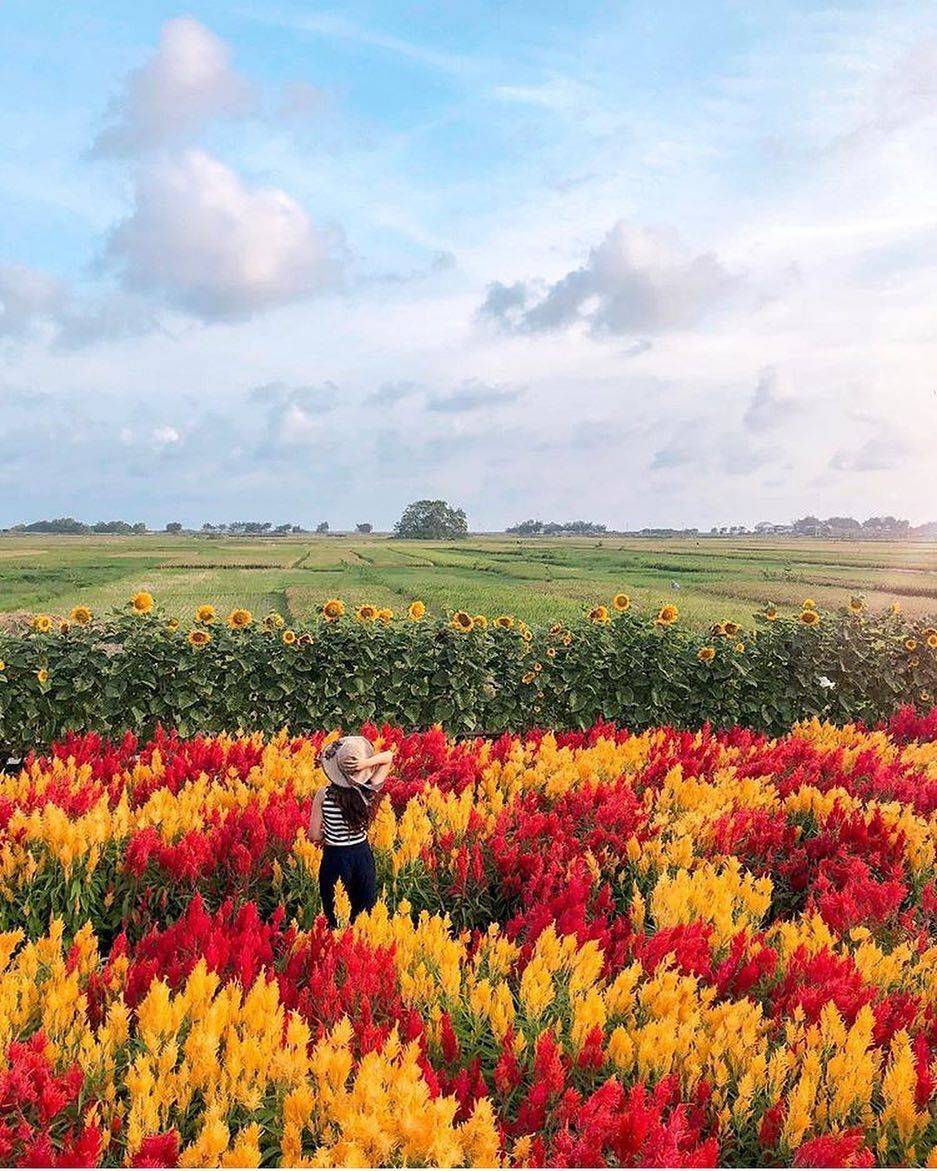 Inilah 7 Wisata Instagramable Yang Lagi Hits Di Yogyakarta Inilah 7 Wisata Instagramable Yang Lagi Hits Di Yogyakarta