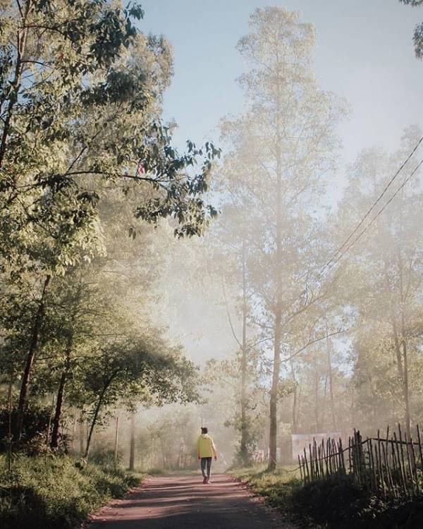 Selain Bromo, Inilah Destinasi Malang yang Sejuk dan Indah