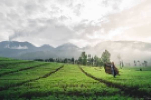 Selain Bromo, Inilah Destinasi Malang yang Sejuk dan Indah