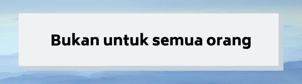 Mile High Club, Aktivitas Bercinta di Dalam Pesawat Terbang