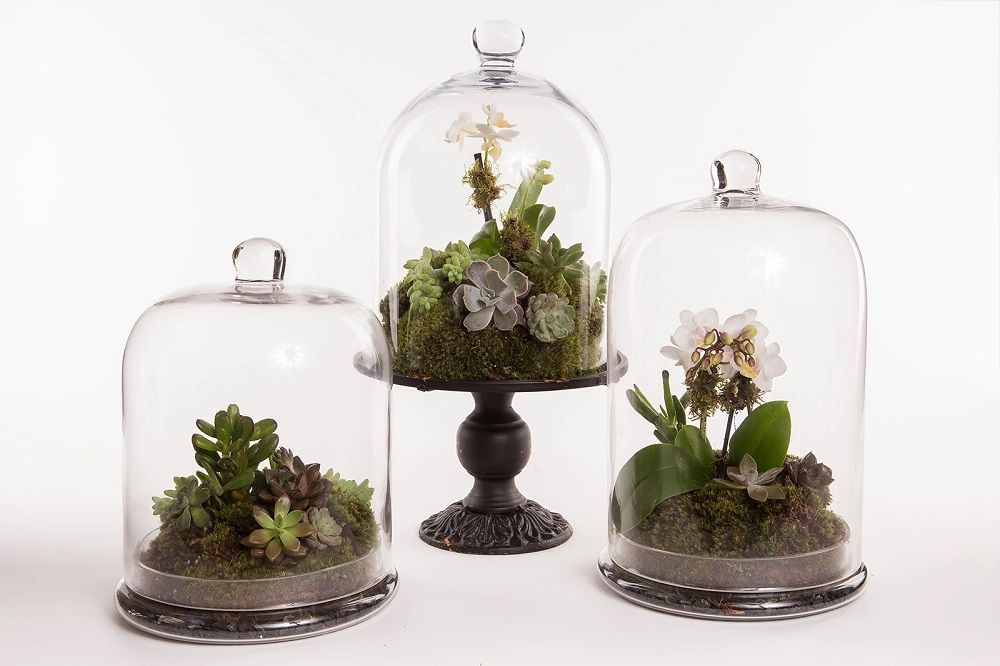 11 Desain Terrarium yang  Memperindah Rumahmu