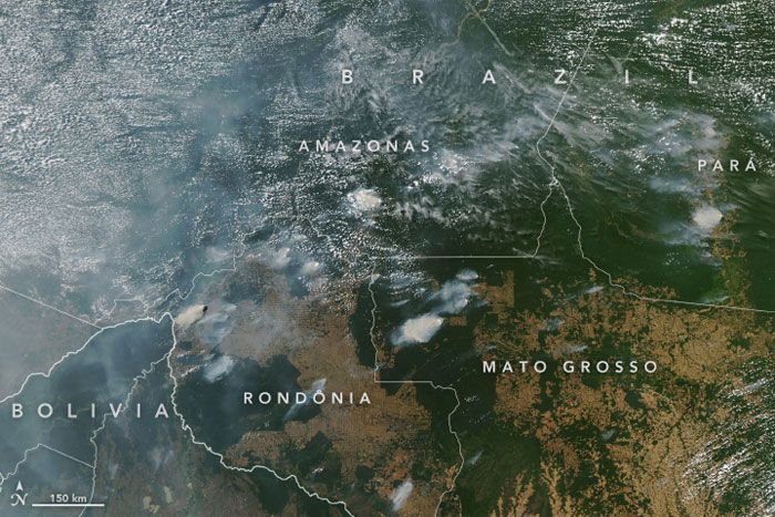 Mengerikan, Kebakaran di Hutan Amazon Sampai Terlihat di Ruang Angkasa