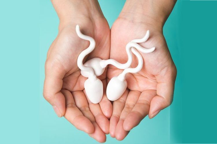 5 Cara Memperbanyak Sperma bagi Laki-Laki Dewasa