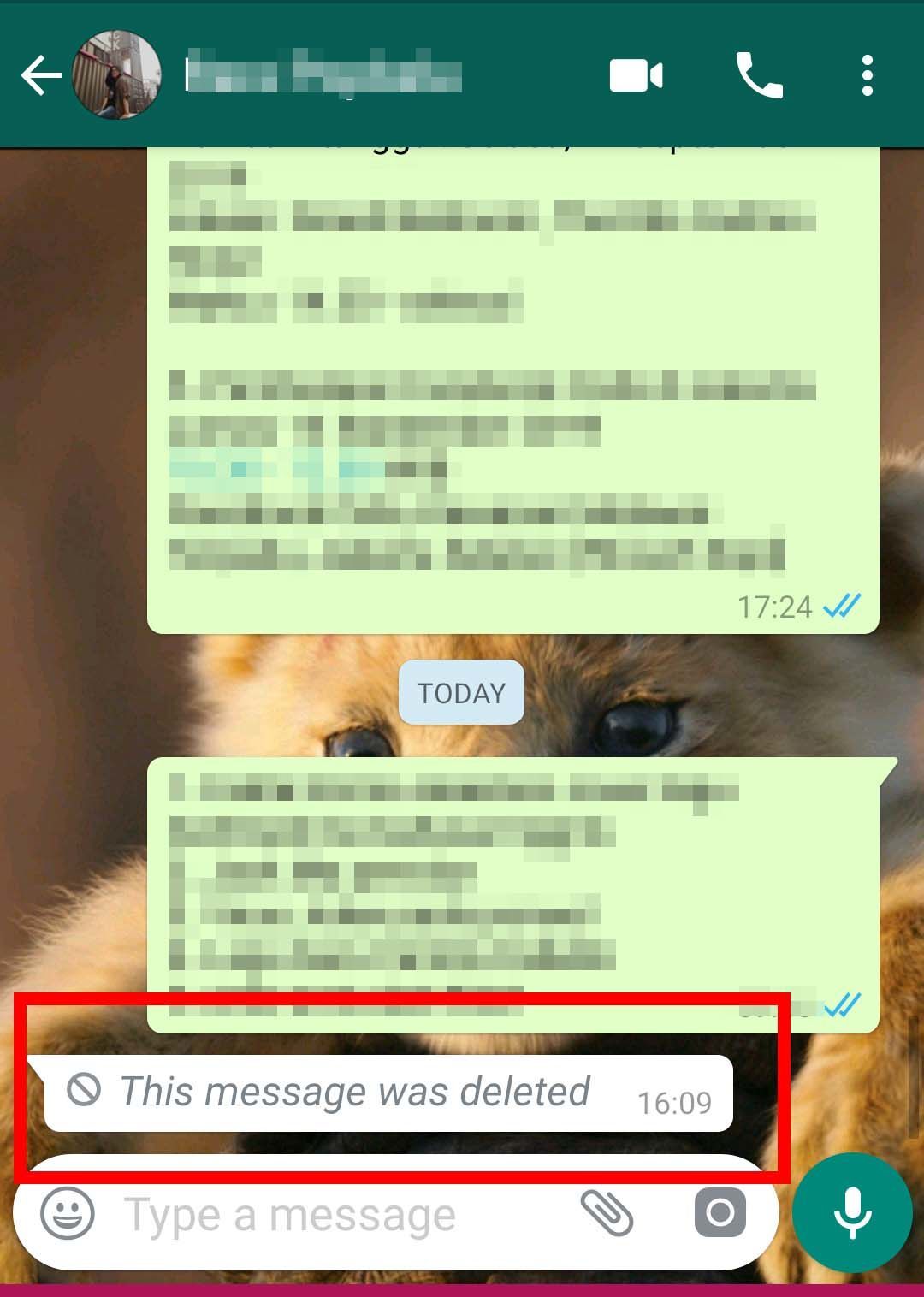 Ini Cara Mengetahui Isi Pesan Whatsapp yang Sudah Dihapus Pengirimnya