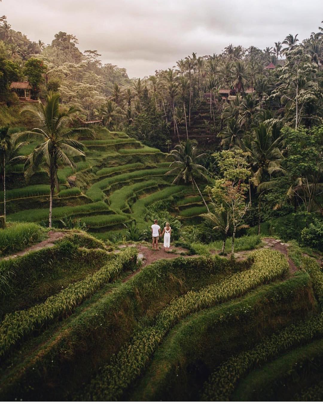 Alasan Bali Jadi Favorit Di Hati Wisatawan