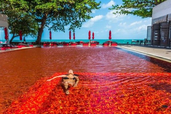 7 Hotel dengan Kolam Renang Terunik di Dunia