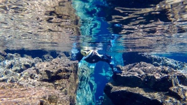 Begini Serunya Diving di Dua Lempeng Benua 