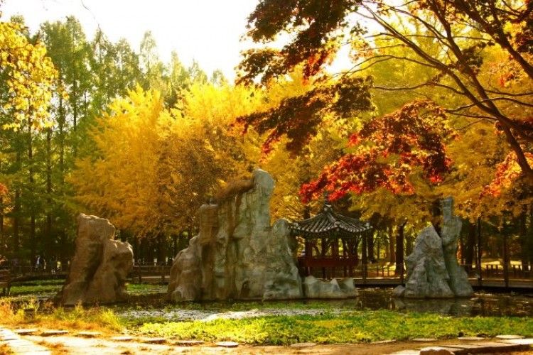 9 Destinasi Korea Selatan untuk Nikmati Musim Gugur Romantis 