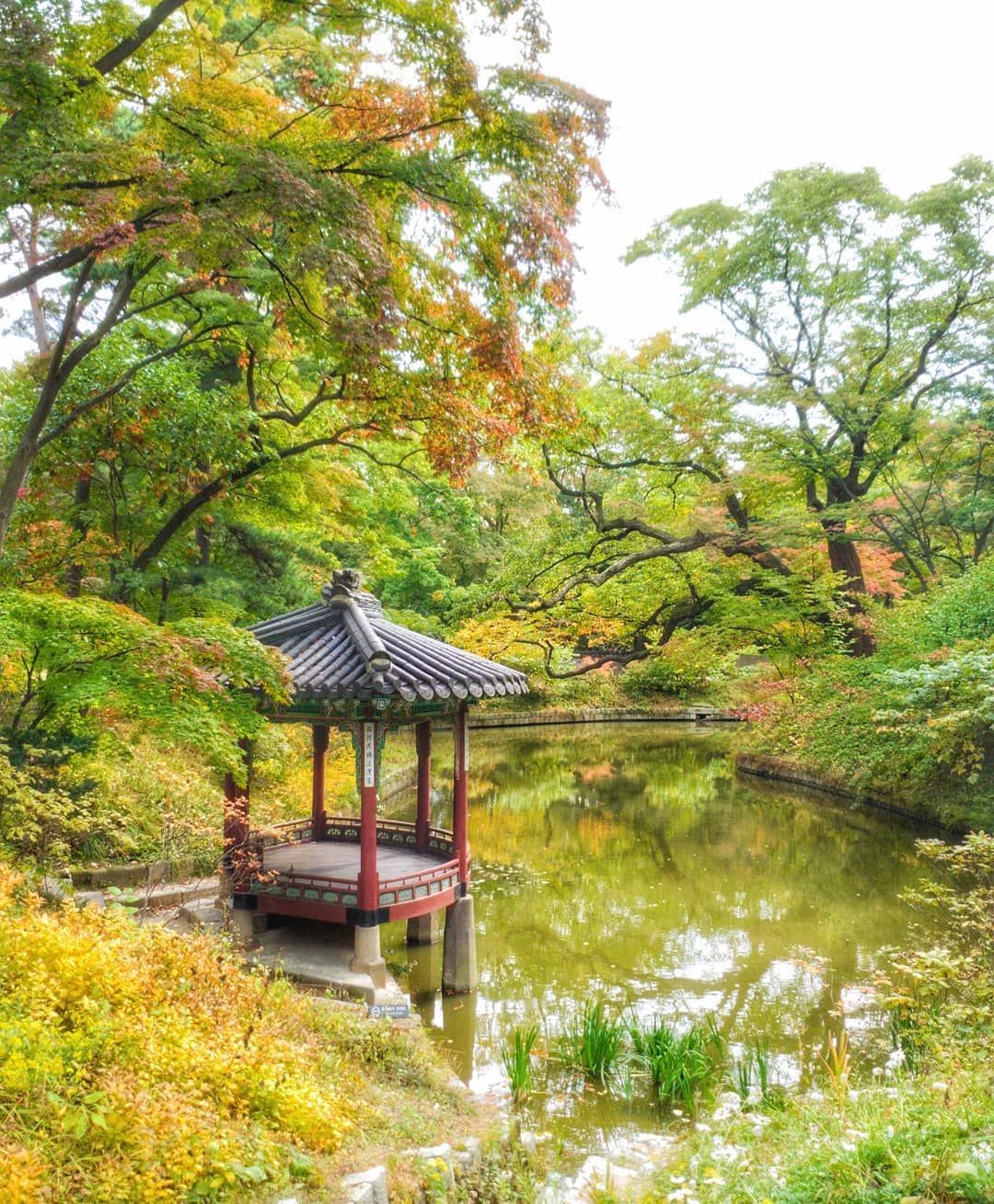 9 Destinasi Korea Selatan Untuk Nikmati Musim Gugur Romantis