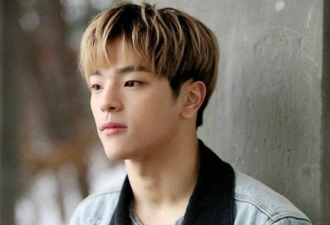 Woojin Keluar Dari Stray Kids, K-netz: 100% Pasti Masalah Perempuan