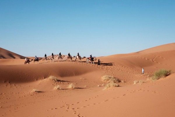 Dikira Sepele, 10 Fakta Menakjubkan Benua Afrika yang Perlu Kamu Tahu