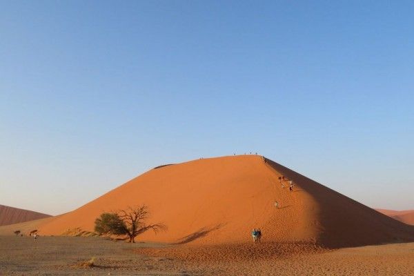 Dikira Sepele, 10 Fakta Menakjubkan Benua Afrika yang Perlu Kamu Tahu