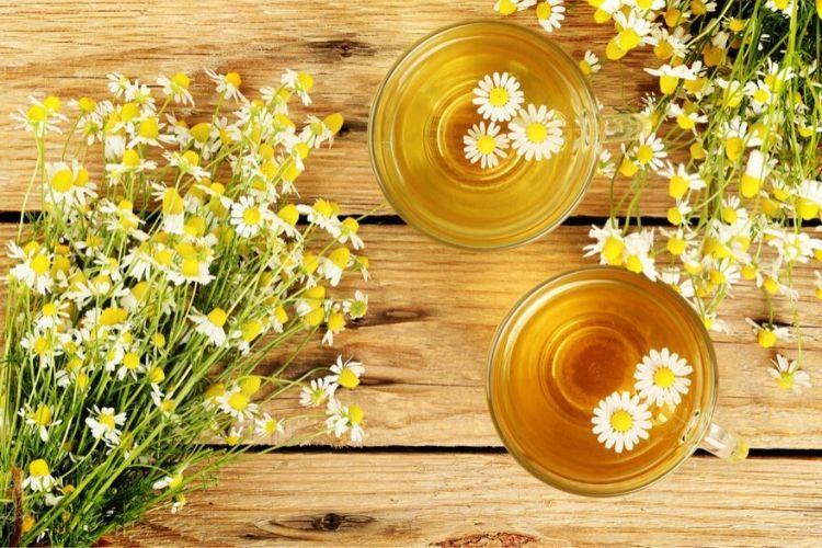 7 Makanan yang Meredakan Gangguan Kecemasan, Dapat Membuatmu Rileks