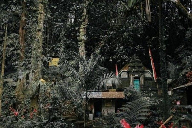 9 Destinasi Wisata Horor di Banyuwangi, Ada Patung Menari Sendiri?