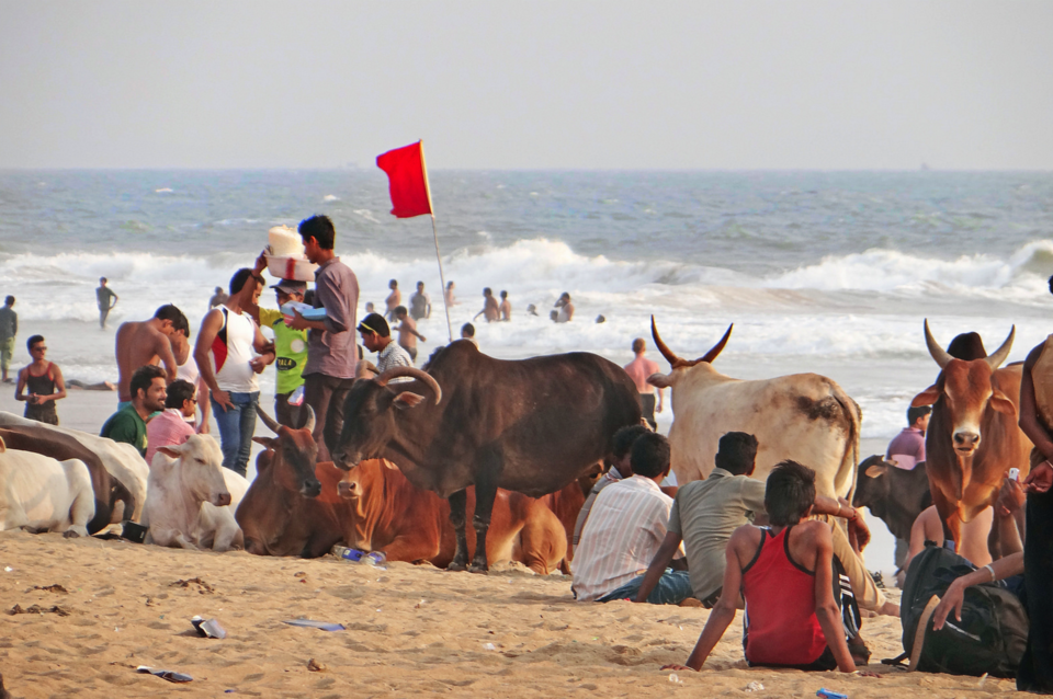 Inilah Penampakan saat Travelling ke India