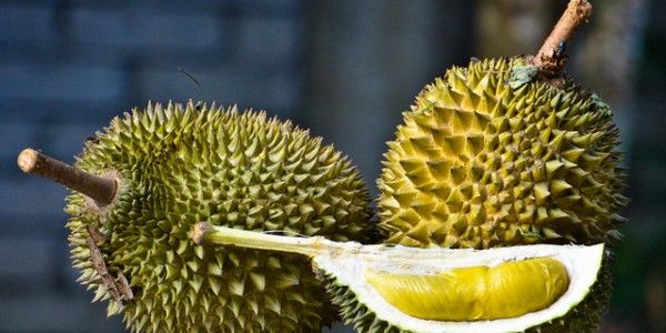 6 Makanan Indonesia yang Paling Dibenci Turis Asing, Padahal Enak!