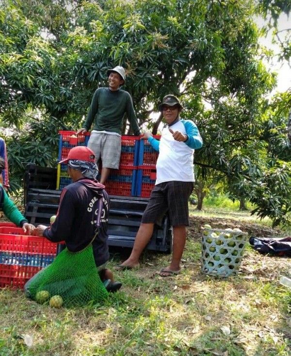 10 Makanan Khas Majalengka Cocok untuk Oleh-Oleh Lebaran Saat Mudik