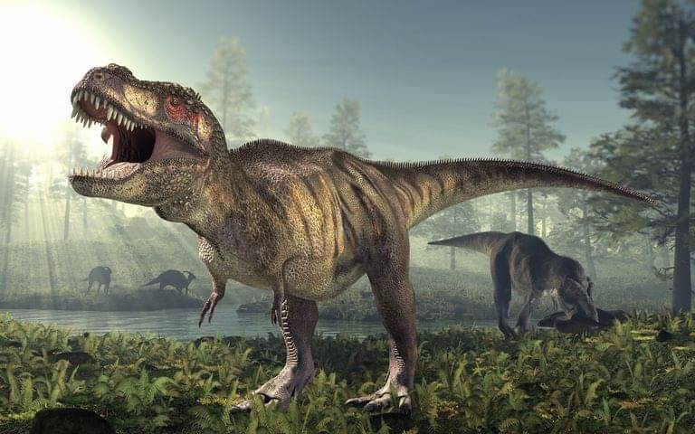 Bukan Reptil Pertama di Bumi, Ini 8 Mitos Dinosaurus 