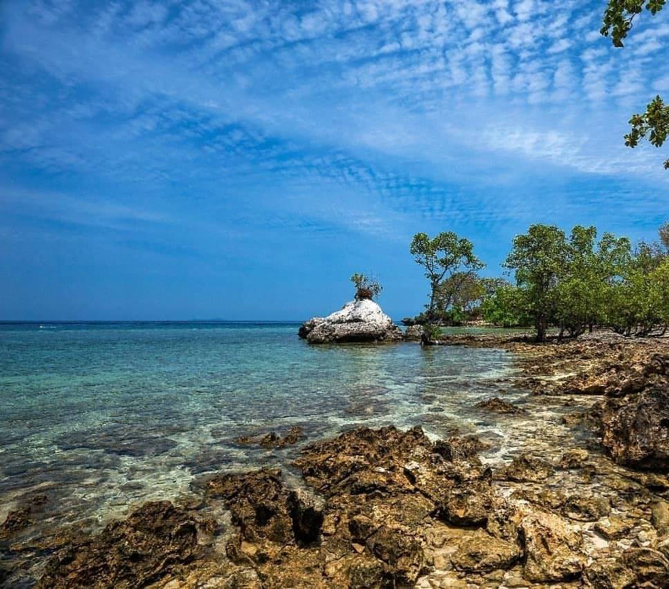 Wisata Bawah Laut  di 5 Pulau Eksotis Indonesia Bagian  Timur 