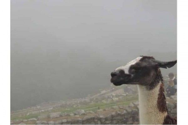 10 Foto Mengecewakan Saat Turis Berkunjung ke Lokasi Wisata Terkenal