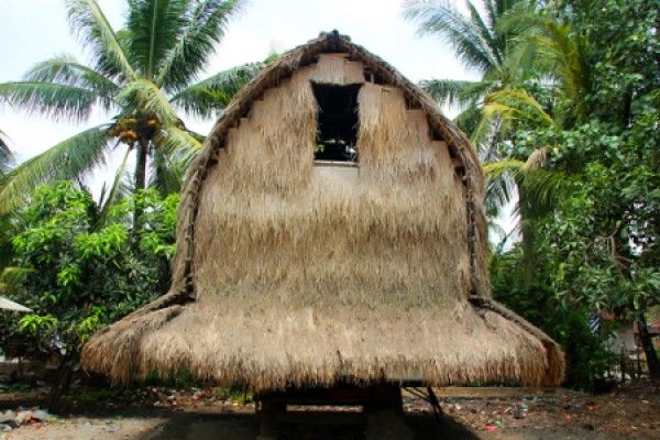 Unik dan Menarik, Ini Dia 5 Rumah Adat Nusa Tenggara Barat