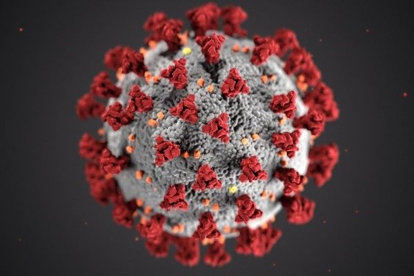 Status Darurat Virus Corona di Indonesia Ditetapkan Hingga 29 Mei 2020