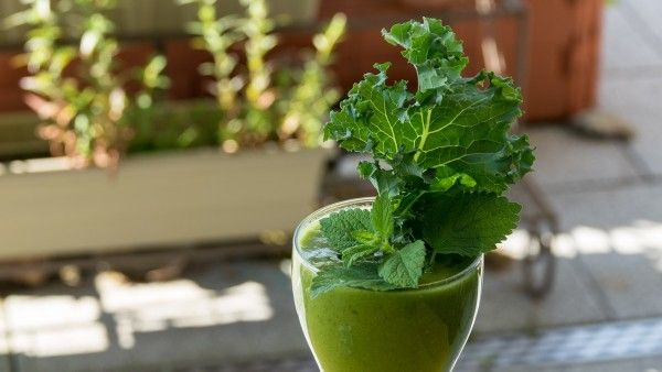 Ingin Detoks? Coba 10 Resep Green Juice Mudah Ini di Rumah