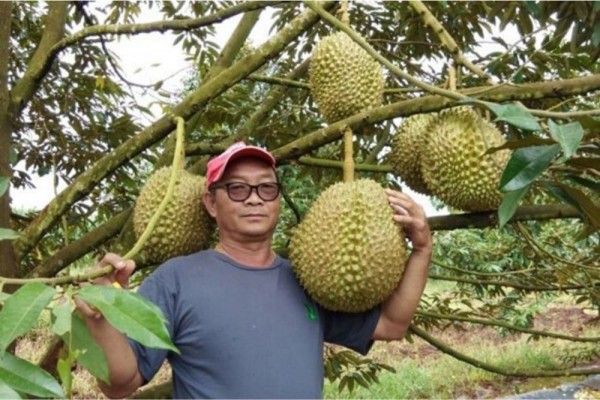 15 Hal yang Bikin Gagal Paham ini Cuma Ada di Thailand