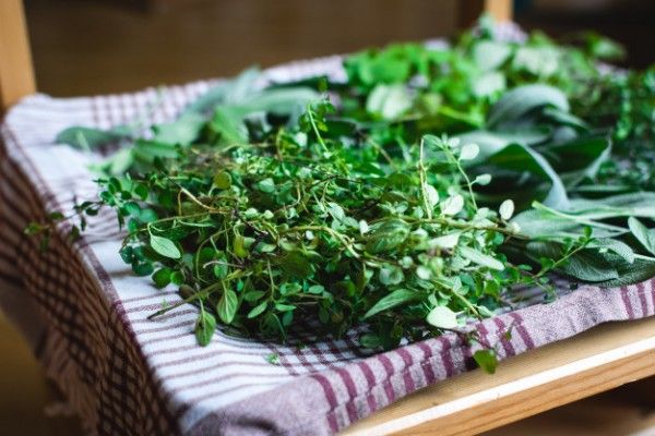 Cara Membuat Dried Herbs