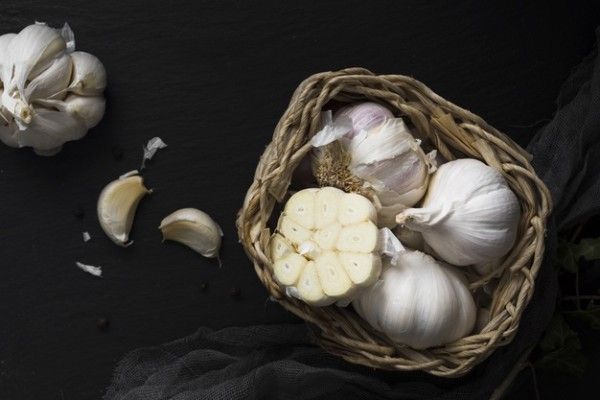 7 Makanan yang Membuatmu Nggak Gampang Sakit