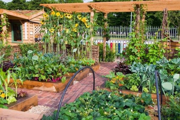 Ingin Berkebun Sayur di Rumah? Ini 8 Inspirasinya