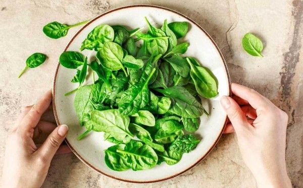 Sehat dan Lezat! 7 Makanan Ini Kaya Akan Vitamin E