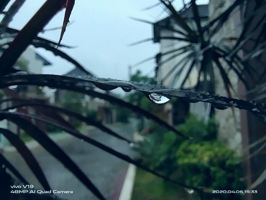 #PopbelaWFH Kenapa Hujan Bikin Mood Jadi Sendu? Ini Penjelasannya