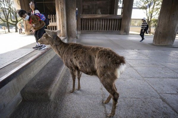 7 Foto Keadaan di Berbagai Belahan Dunia Selama Masa Pandemi Corona 