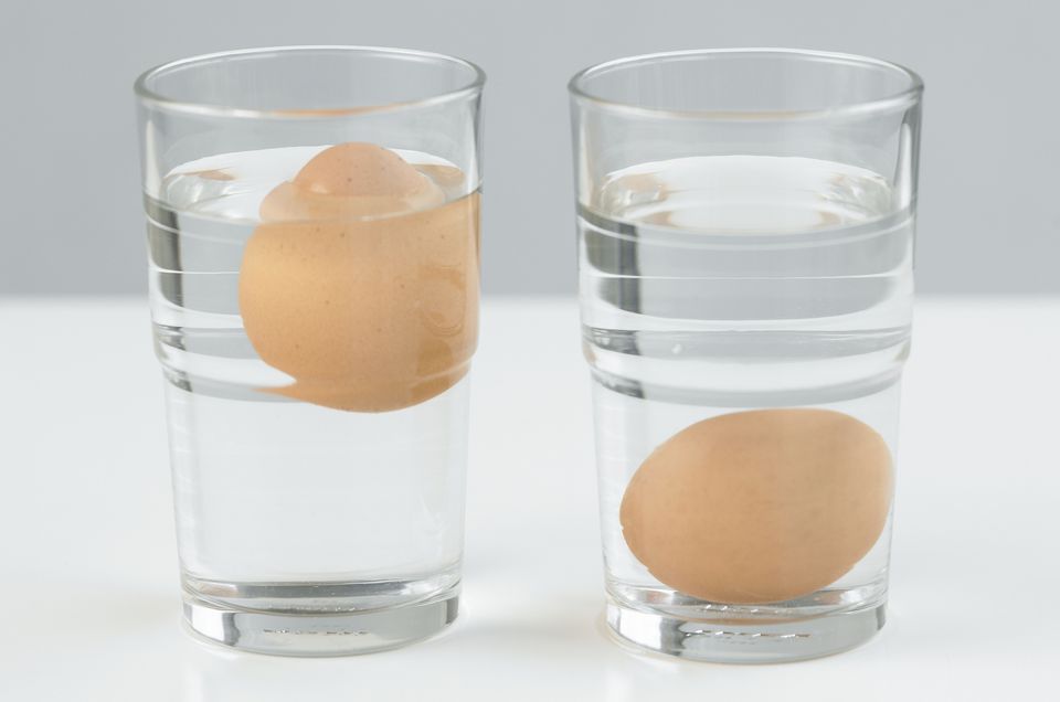 Ini Cara Mudah Membedakan Telur yang Bagus dengan Telur Busuk
