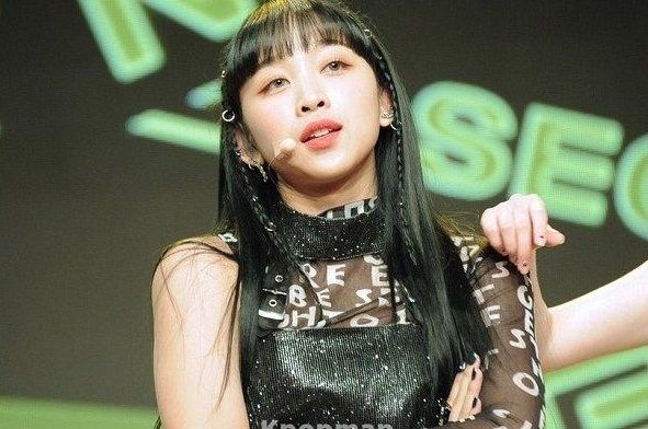 Jennie Bp Sampai Dita Karang Ini 10 Idol Korea Yang Kaya Dari Lahir