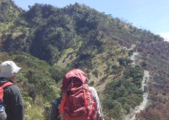 9 Fakta Mengejutkan Pendaki Gunung Guntur yang Hilang Secara Misterius