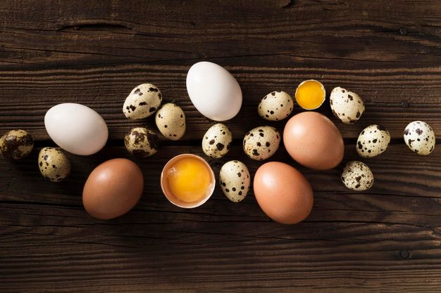 Jarang Diketahui, Ini Fakta Tentang Telur Puyuh