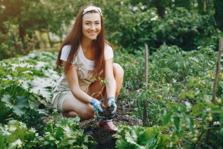 7 Peluang Usaha Bidang Pertanian yang Bisa Dilakukan Dari Rumah