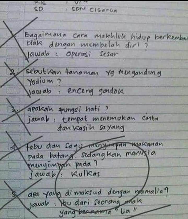 10 Jawaban Nyeleneh Saat Ujian Ini Bikin Geleng Geleng Kepala